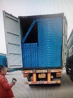 Water Industry Storage Plastic Pallet with 16kg Unit Weight and Space-Saving Design