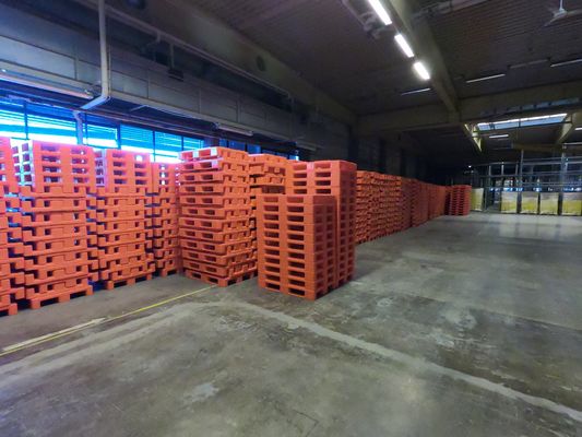 Stacking 6 Runners Plastic Pallet 1200x1100x150 mm for Cold Storage in Industry