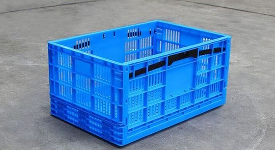 Customizable Design PP Turnover Folding Boxes for Agriculture Custom Order