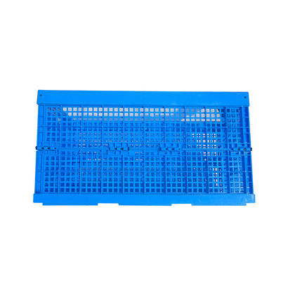 Customizable Design PP Turnover Folding Boxes for Agriculture Custom Order