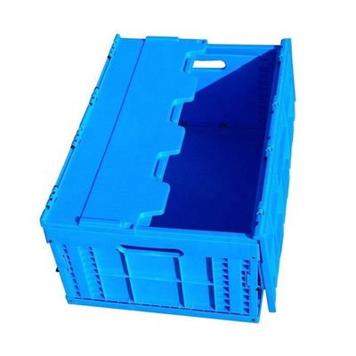 Plastic Crates for Storing Vegetables Foldable Design 560*360*260 Internal Size