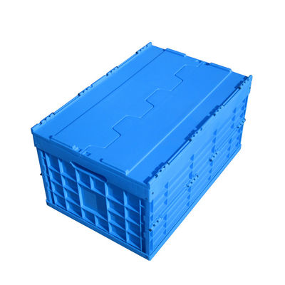 Collapsible Plastic Crate for Space-saving Warehouse Fruit Picking 600*400*360mm