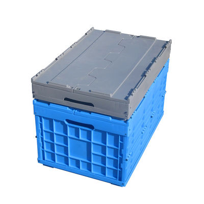 Collapsible Plastic Crate for Space-saving Warehouse Fruit Picking 600*400*360mm