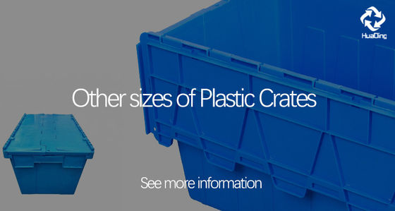 600*400*103 Folded Size Plastic Crates The Ultimate Storage Solution for Vegetables