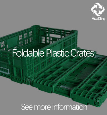 600*400*103 Folded Size Plastic Crates The Ultimate Storage Solution for Vegetables