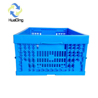 Collapsible PP Plastic Crates for Agriculture Storage and Shipping Solutions