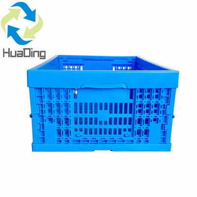 Collapsible PP Plastic Crates for Agriculture Storage and Shipping Solutions