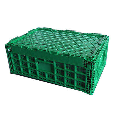 Collapsible Mesh Style Plastic Crates 0.82kg for Convenient Storage and Transport