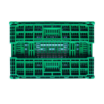 2.25kg Lightweight Small Collapsible Plastic Crates for Fruits and Vegetables