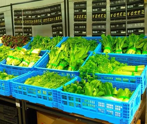 2.25kg Lightweight Small Collapsible Plastic Crates for Fruits and Vegetables