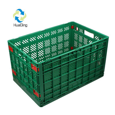 HDPE or PP Material Disposable Plastic Food Container for Fruit and Vegetable Storage