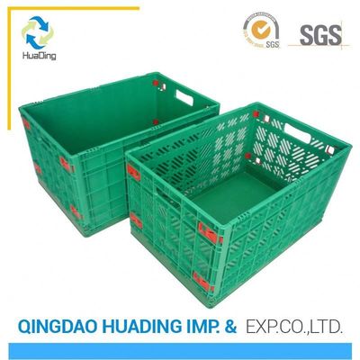 HDPE or PP Material Disposable Plastic Food Container for Fruit and Vegetable Storage