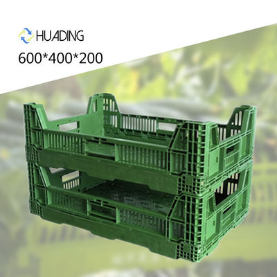 Mesh Design Foldable PP Basket for Recyclable and 100% Recyclable Eco-Friendly Crate