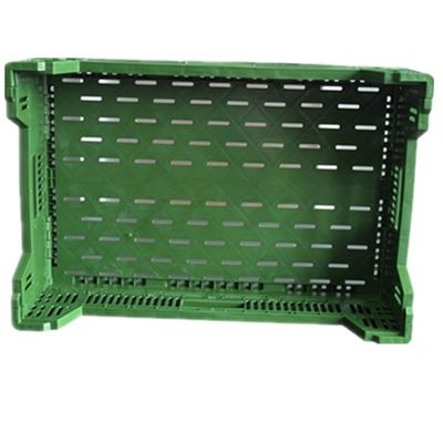 Mesh Design Foldable PP Basket for Recyclable and 100% Recyclable Eco-Friendly Crate