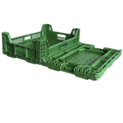 Mesh Design Foldable PP Basket for Recyclable and 100% Recyclable Eco-Friendly Crate