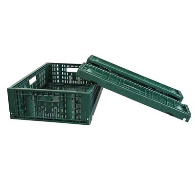 HUADING's Rectangle Injection Plastic Mesh Fruit Crate The Perfect Storage Solution