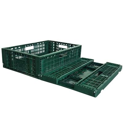 HUADING's Rectangle Injection Plastic Mesh Fruit Crate The Perfect Storage Solution