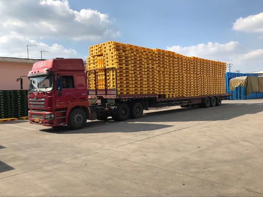 Recyclable Industry Pallet Blue Plastic One Way or Any Requested Color Single Faced 6T