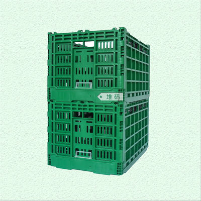 Green or Customized Collapsible Plastic Mesh Box for Vegetable and Fruit Distribution