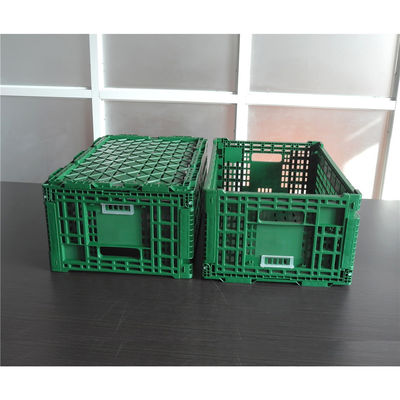 Green or Customized Collapsible Plastic Mesh Box for Vegetable and Fruit Distribution