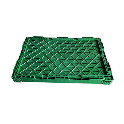 Green or Customized Collapsible Plastic Mesh Box for Vegetable and Fruit Distribution