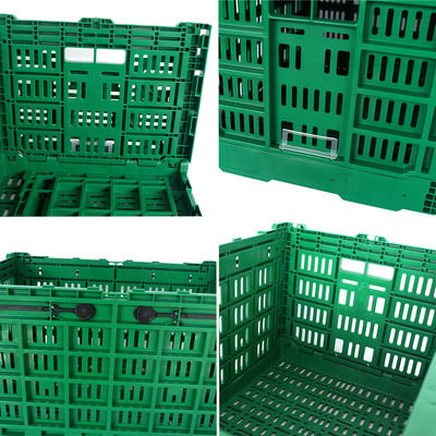 Green or Customized Collapsible Plastic Mesh Box for Vegetable and Fruit Distribution