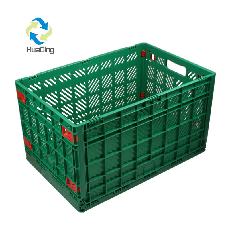HDPE or PP Material Disposable Plastic Food Container for Fruit and Vegetable Storage